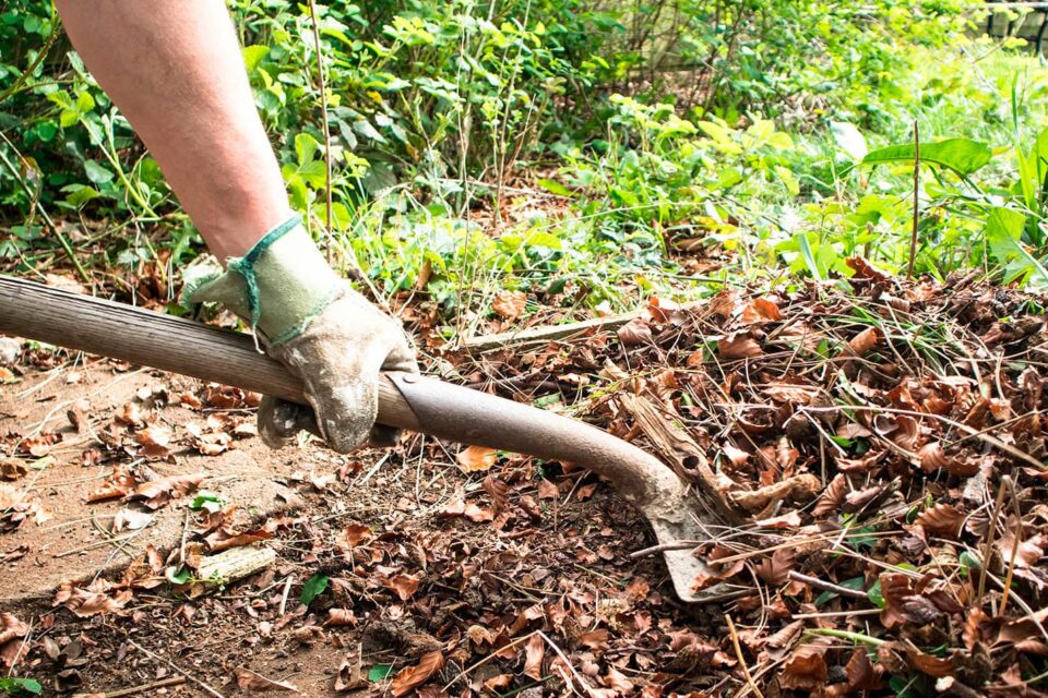 Professional Garden Clearance in Southampton, Hampshire